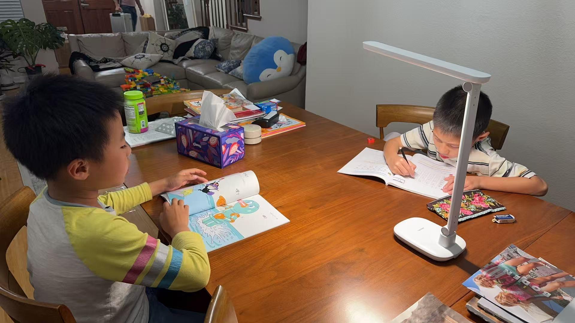 Doing Chinese homework