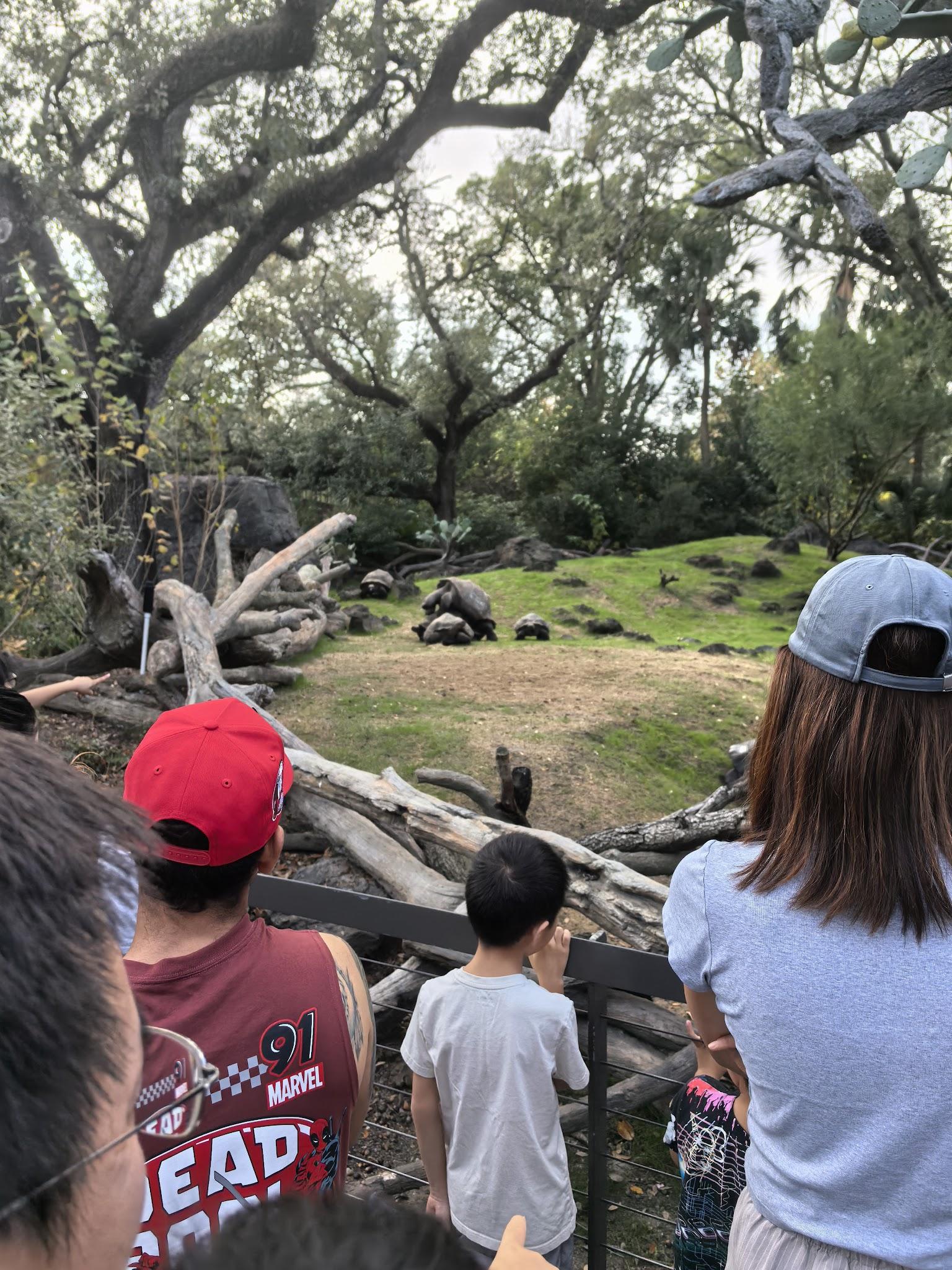 Houston Zoo visit