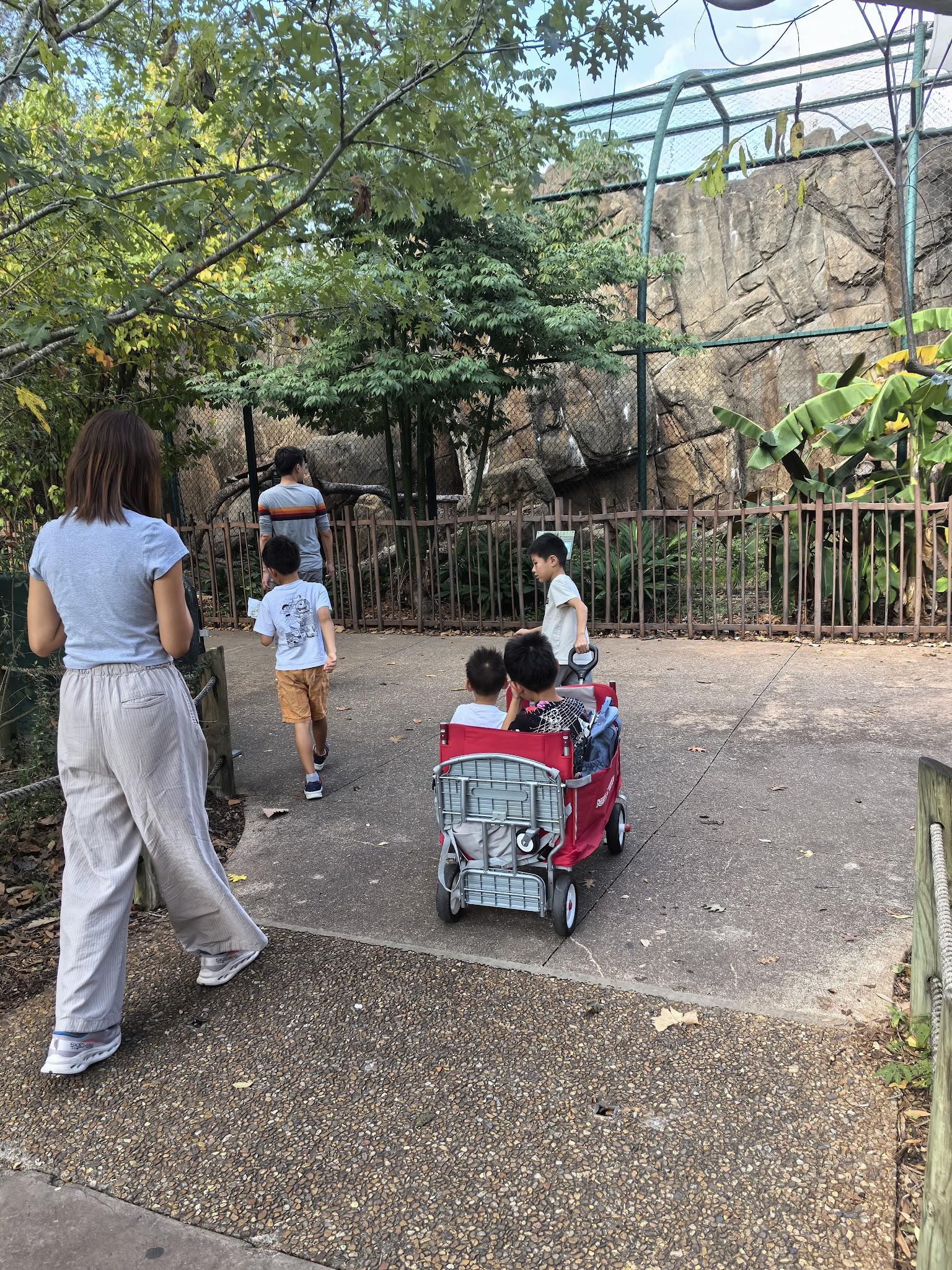 Houston Zoo visit